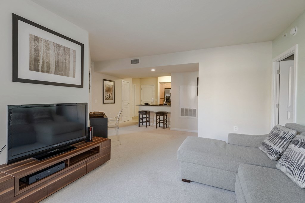 Nice Apartment Rentals in Pentagon City Arlington VA