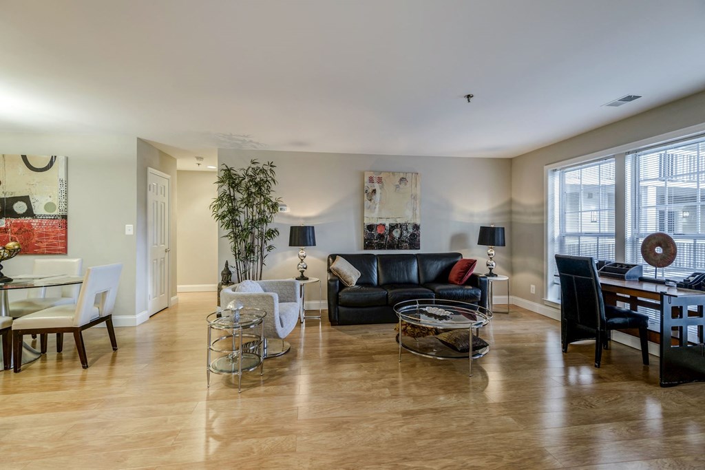 Spacious Apartment Rentals in Rosslyn VA