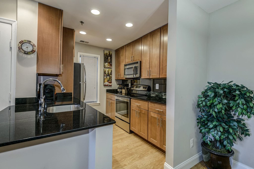 Spacious Apartment Rentals in Rosslyn VA