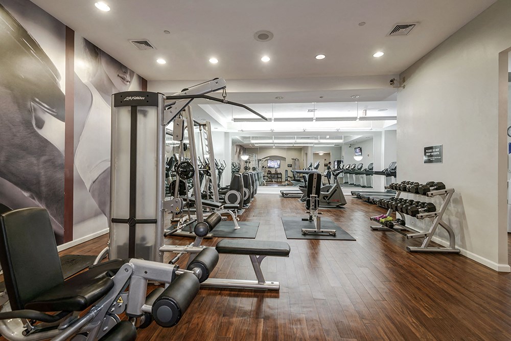 Modern Apartment Rentals in Crystal City VA