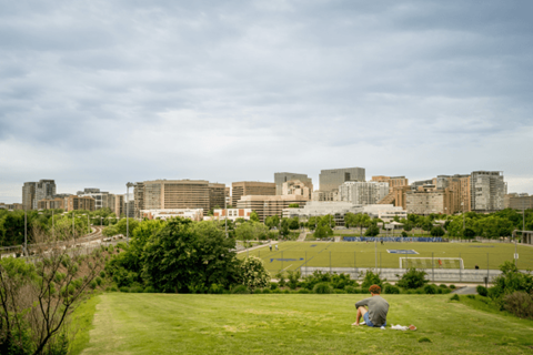A man sits on a grassy hill overlooking a city skyline.