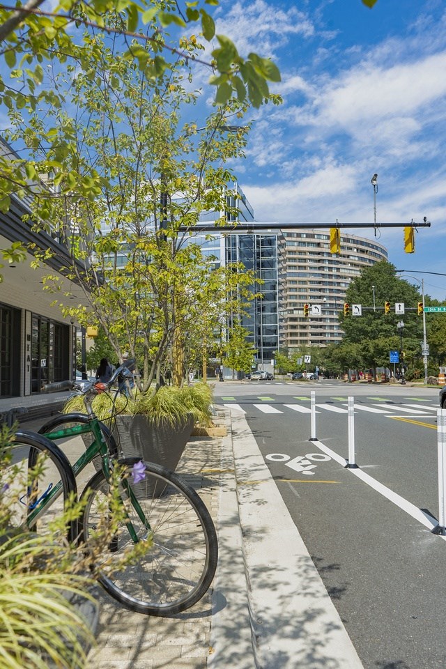 Apartments for rent in Crystal City