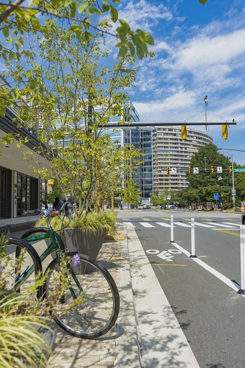 Apartments for rent in Crystal City