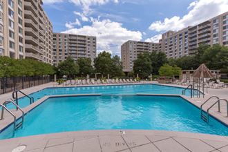 Spacious Apartment Rentals in Crystal City Arlington VA - Photo Gallery 3