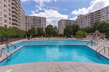 Spacious Apartment Rentals in Crystal City Arlington VA - Photo Gallery 4