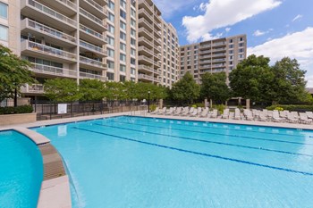 Olympic-Sized Pool with Swimming Lanes, Free Swim Area, and Expansive Sundeck with Chaise Lounge Chairs Apartment Rentals in Crystal City Arlington VA - Photo Gallery 3
