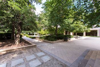 Spacious Apartments in National Landing VA for Rent