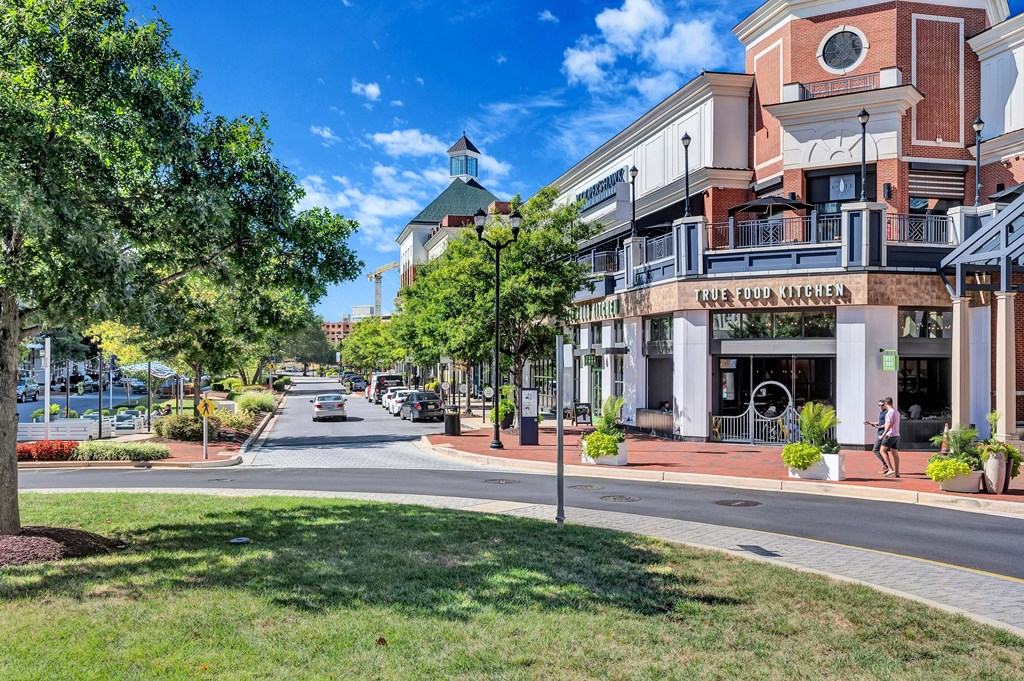 a city street with shops and trees on the side of the road