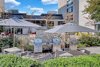 2111 Richmond Highway Studio Apartment for Rent - Photo Gallery 3