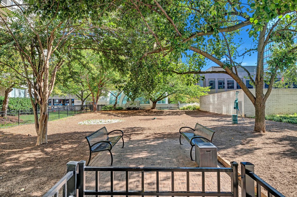 Apartments for rent in Crystal City