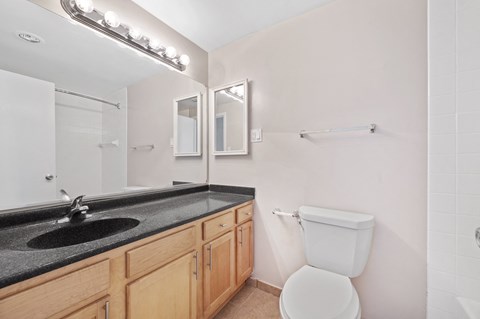 Custom Look Bathroom at Crystal Square, Arlington, VA