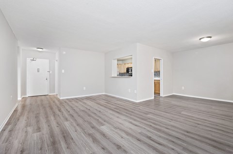 Spacious Living Room With Plank Flooring at Crystal Square, Virginia