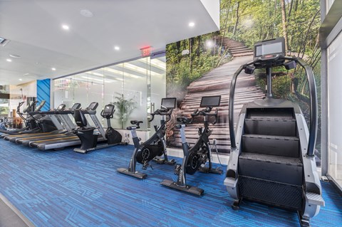 Cardio Studio Equipment at Crystal Square, Arlington, VA