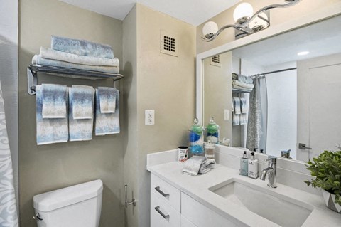 Sleek Bathroom Finishes Including Quartz Countertops and Oversized Vanities at Crystal Square, Arlington, VA