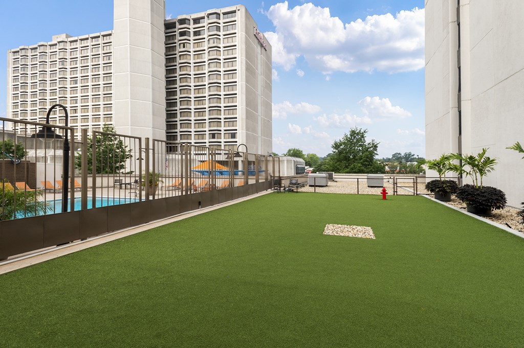 Apartment Rentals in Crystal City VA