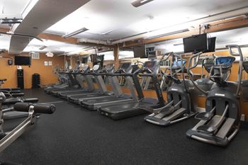 Apartments in Rosslyn VA for Rent