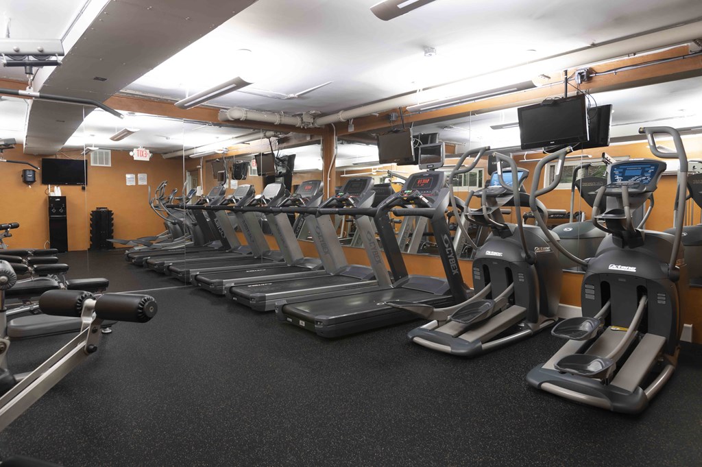 Great Apartment Rentals in Rosslyn VA