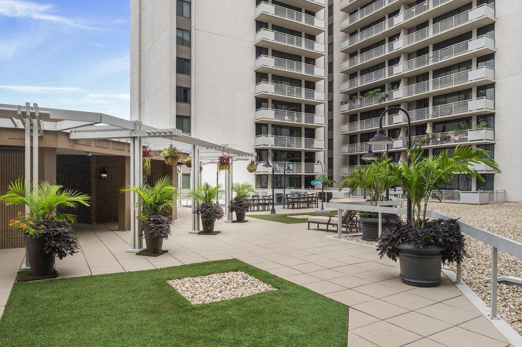 Spacious Apartment Rentals in Crystal City VA