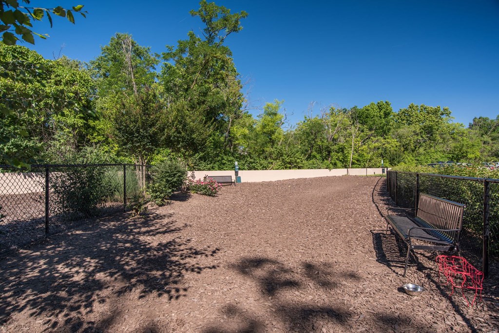 Spacious Apartment Rentals in National Landing Arlington VA