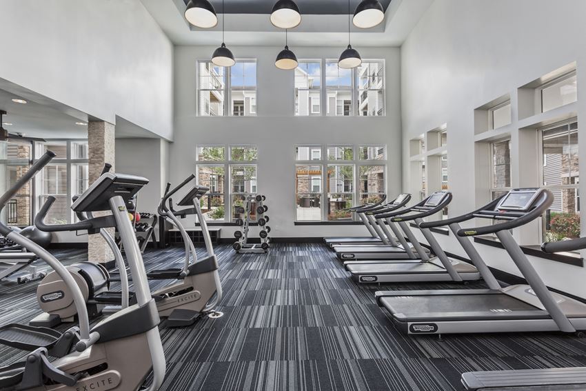 Fully-Equipped Fitness Center with Highly-Specialized Technogym Cardio Machines, Free Weights, Spin Bikes, and Individual Strength Training Machines Nice Apartment Rentals in Woodbridge VA
