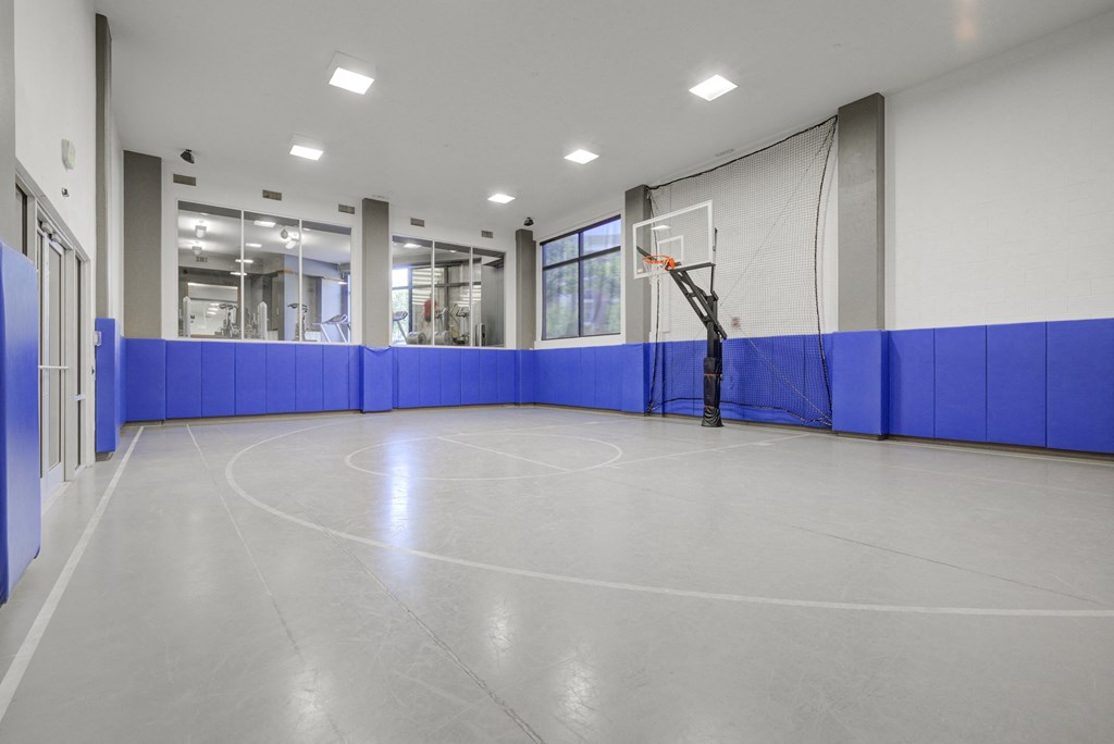 Indoor Multi-Purpose Court with Basketball Goal, Volleyball Net Capabilities and Personal Sound Controls