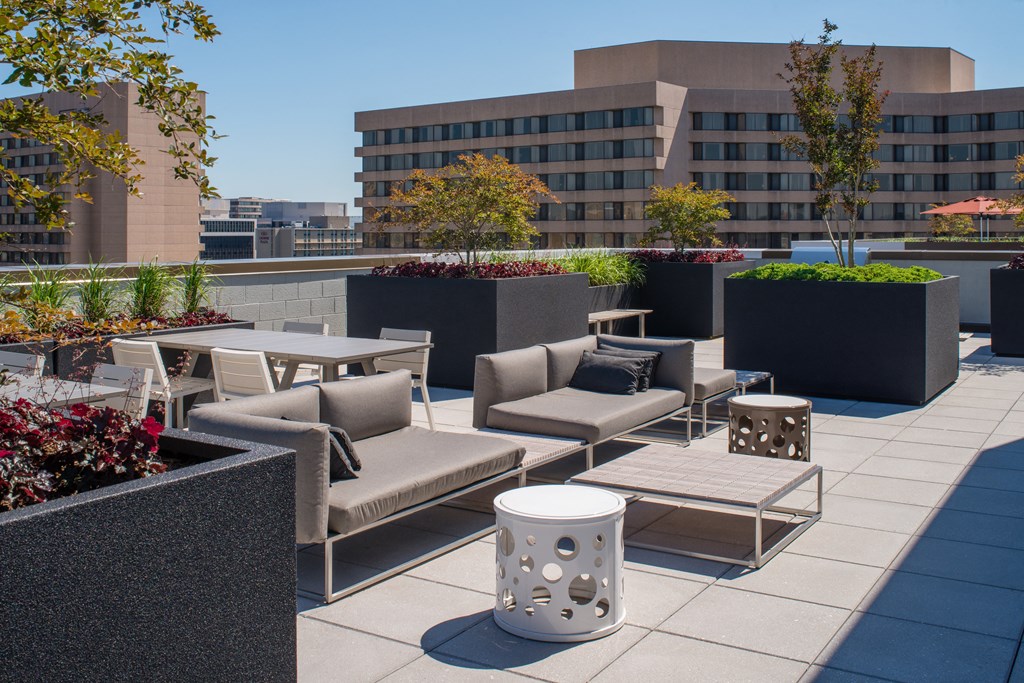 Spacious apartment rentals in Crystal City Arlington Virginia