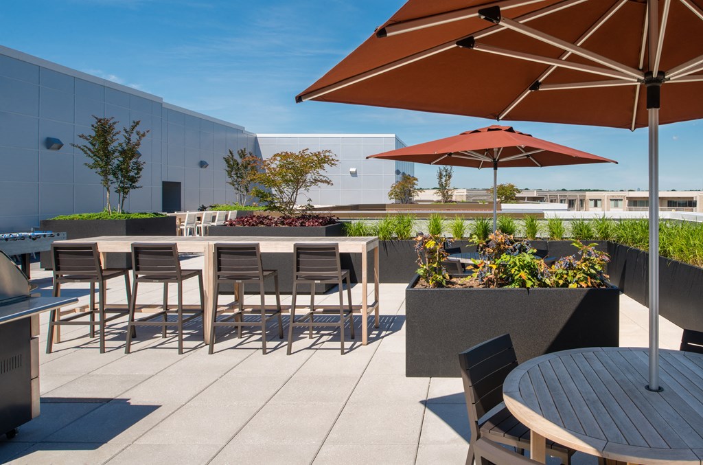 Renovated apartment rentals in Crystal City Arlington VA