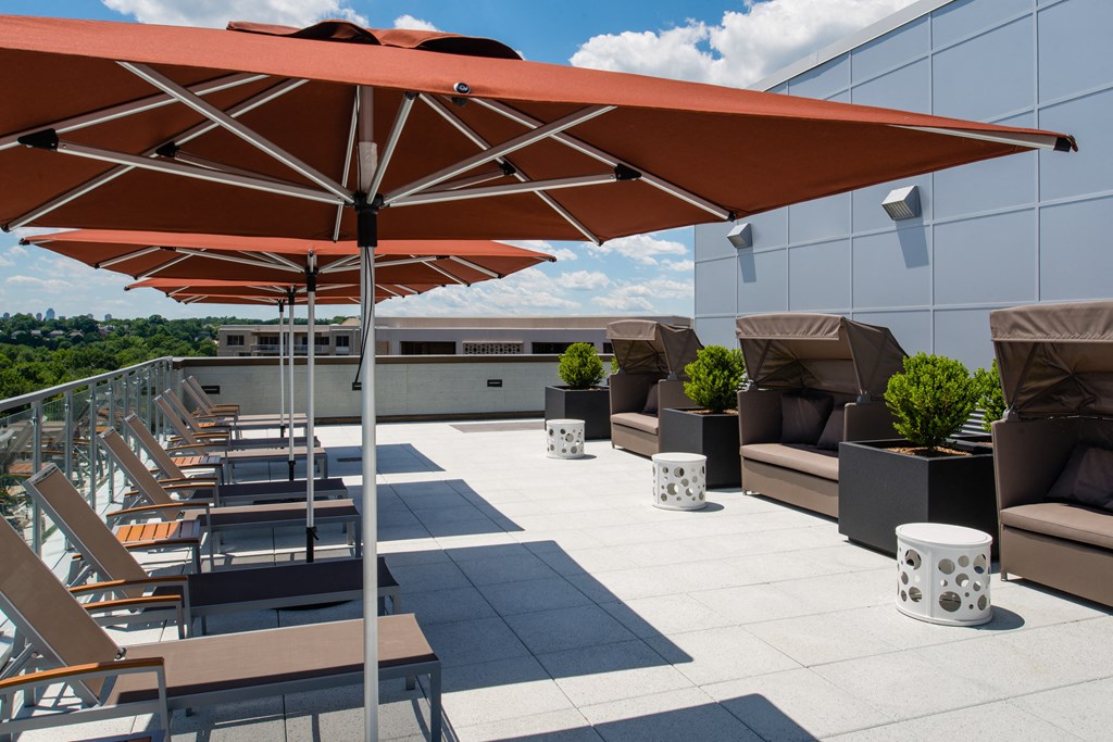 Spacious apartment rentals in Crystal City Arlington Virginia