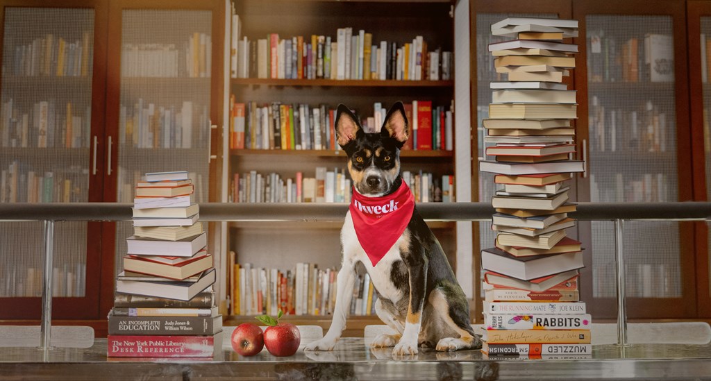 Dweck Dog in Library