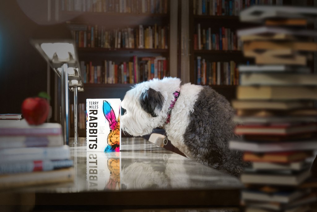 a dog sitting on a table looking at a book