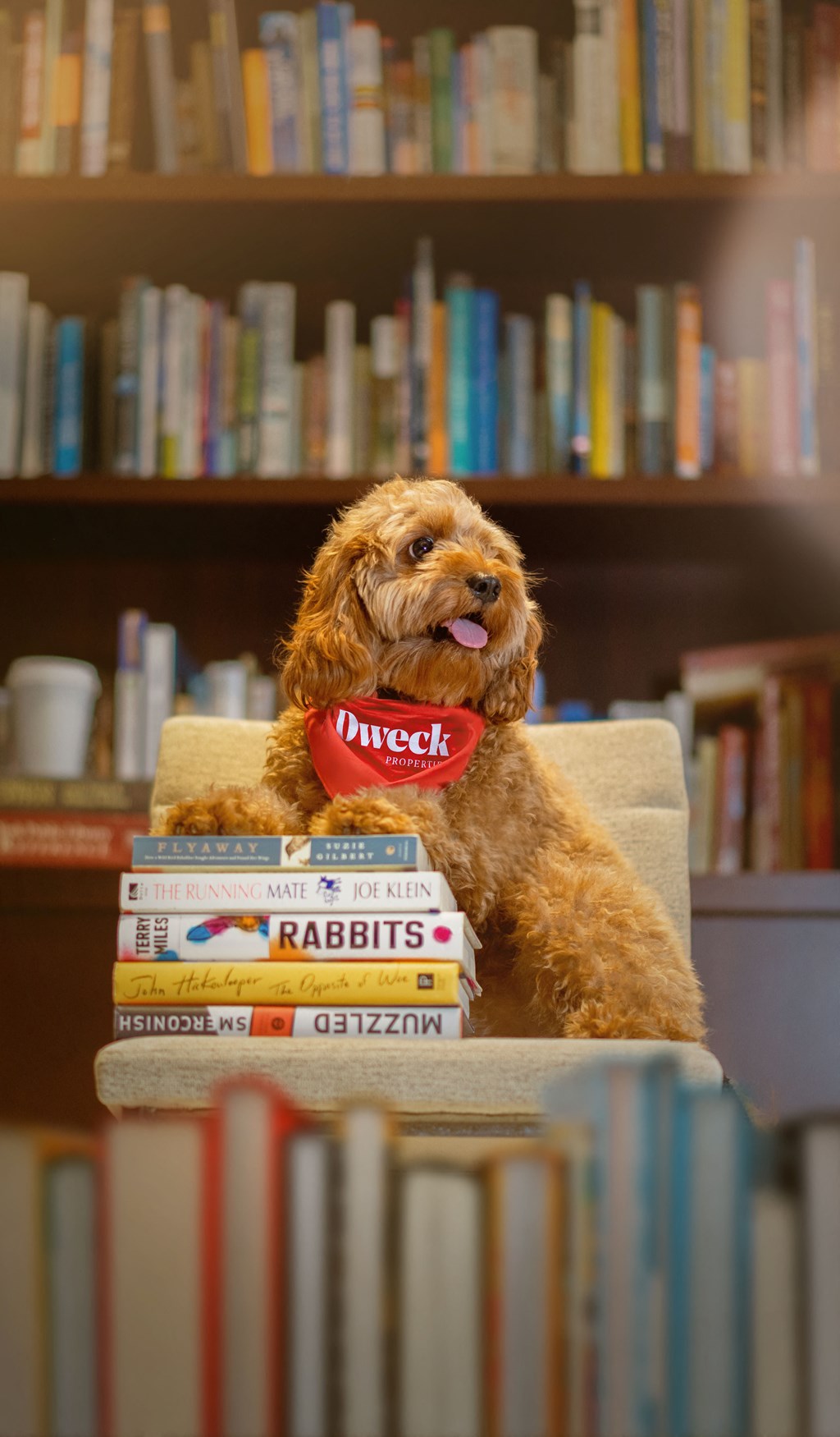 a dog sitting on a pile of books in a library