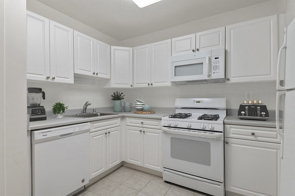 Apartment Rentals in Crystal City