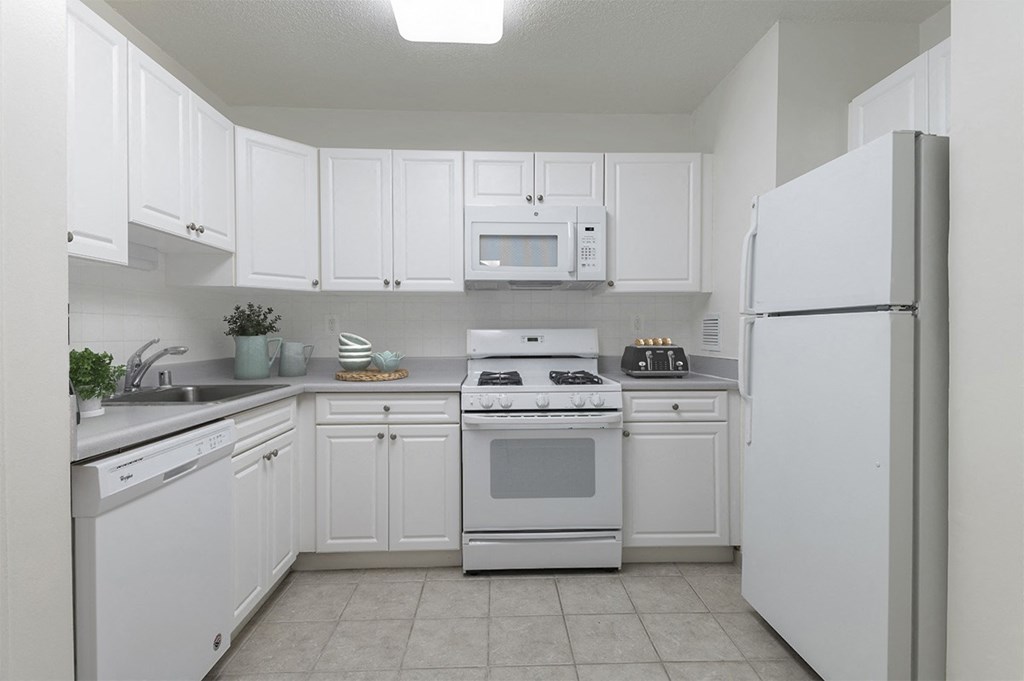 Apartment Rentals in Crystal City