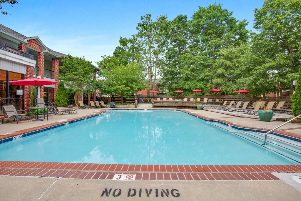 our apartments offer a swimming pool