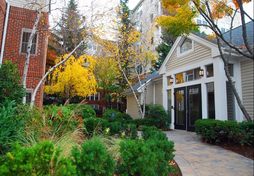 Best Apartment Rentals in Rosslyn VA