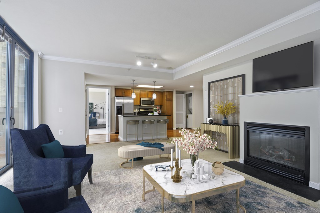 Nice Apartment Rentals in Pentagon City Arlington VA