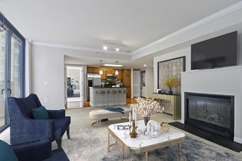 Bedroom, Living Room, and Fireplace Nice Apartment Rentals in Pentagon City Arlington VA - Photo Gallery 2