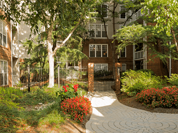 Great Apartments in Rosslyn VA for Rent