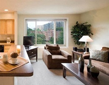 Plush carpet in Living Area and Bedrooms Great Apartment Rentals in Rosslyn VA - Photo Gallery 4