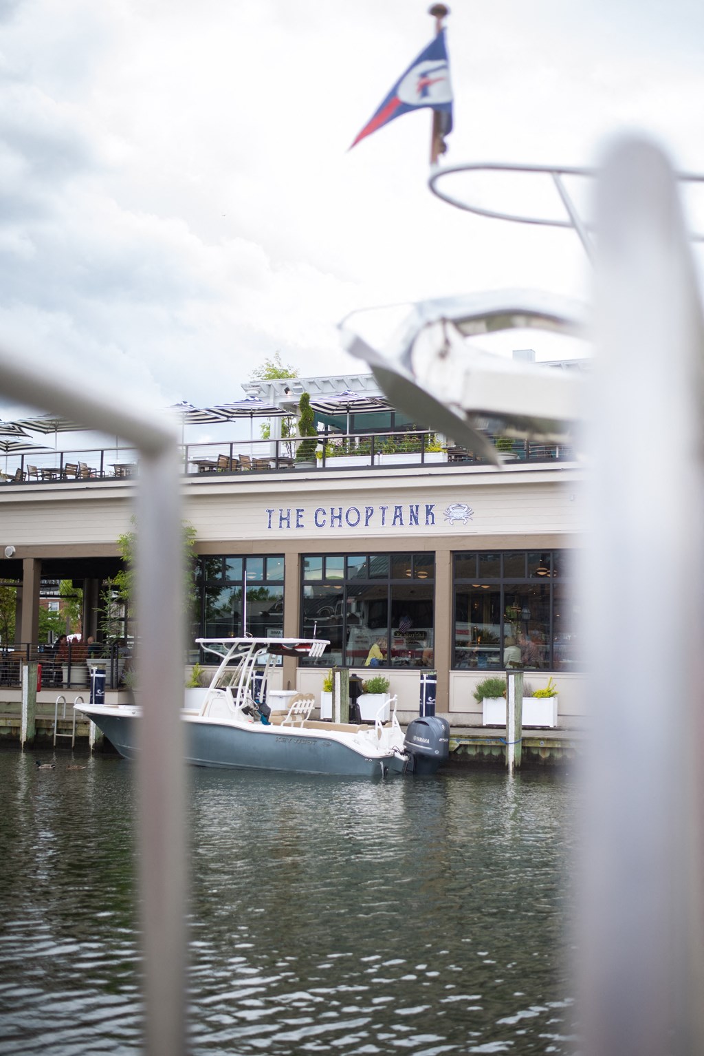 selection of fresh, locally caught seafood, The Choptank