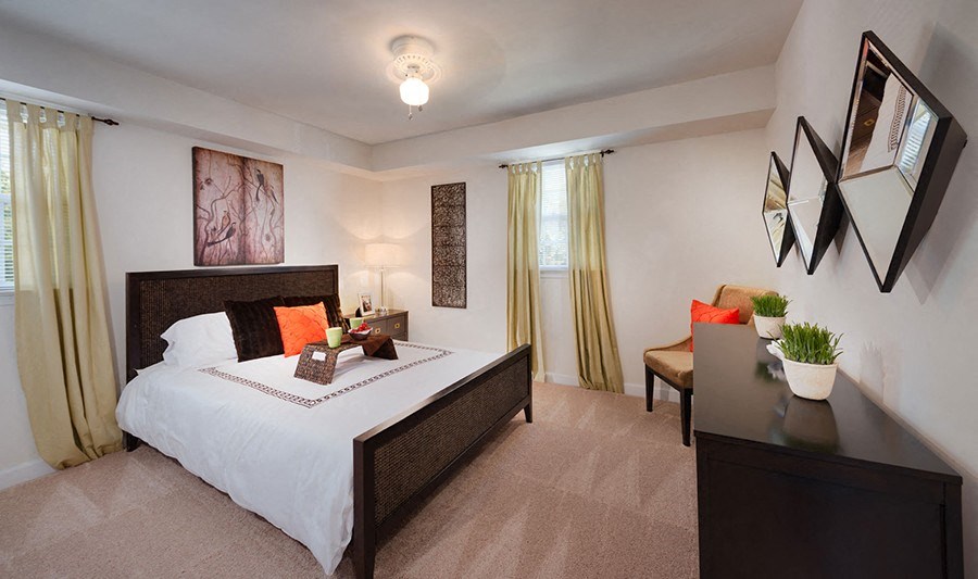 Modern Apartment Rentals in National Landing Arlington VA