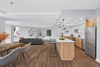 Modern and spacious floor plans featuring Edison pendant light fixtures Luxury apartments in Crystal City - Photo Gallery 3