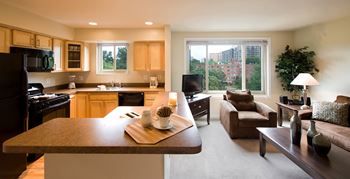 Great Apartments in Rosslyn VA for Rent