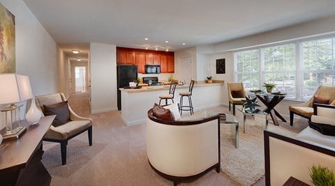 Spacious Apartment Rentals in National Landing Arlington VA