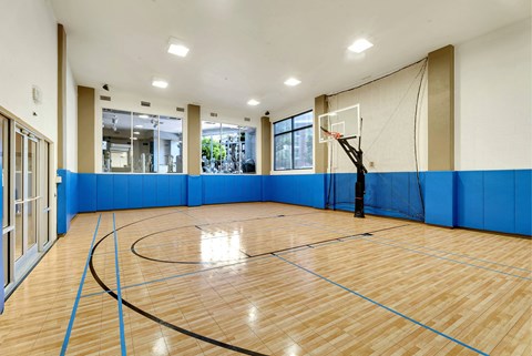 A basketball court inside a gym with a blue wall on one side.
