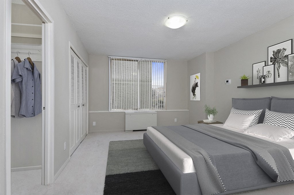 a bedroom with a bed and a closet