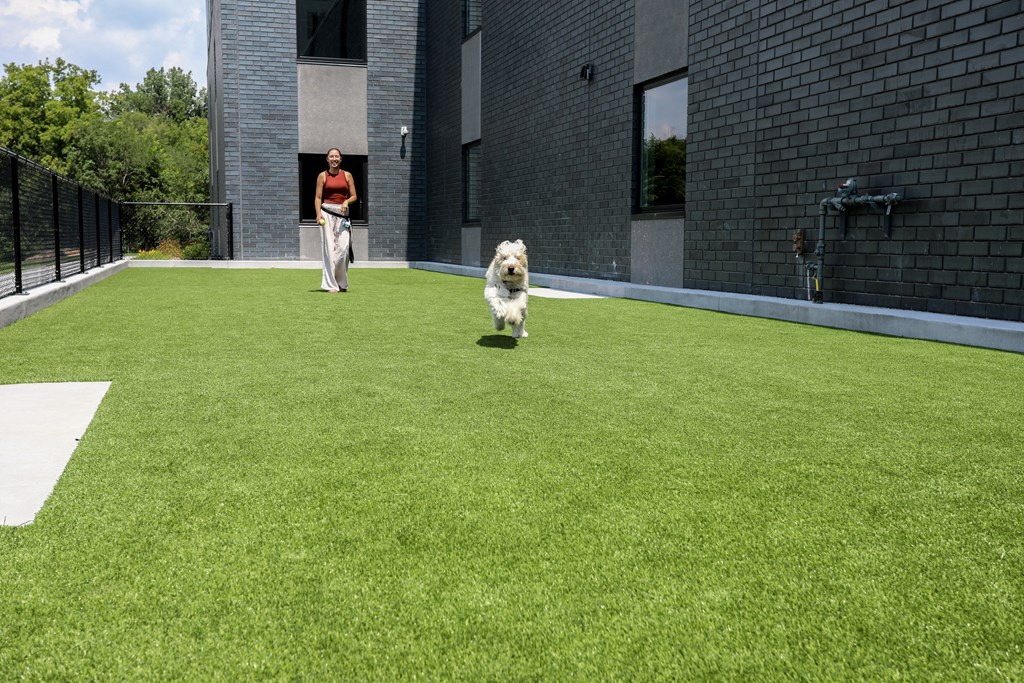a woman walking her dog on the grass