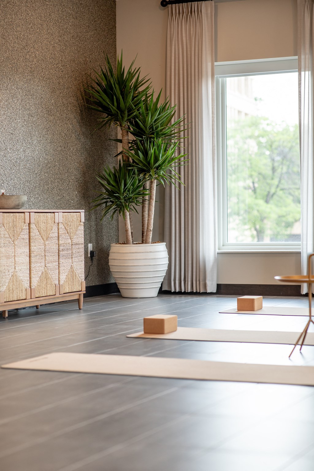 a yoga room with a large plant in a white vase