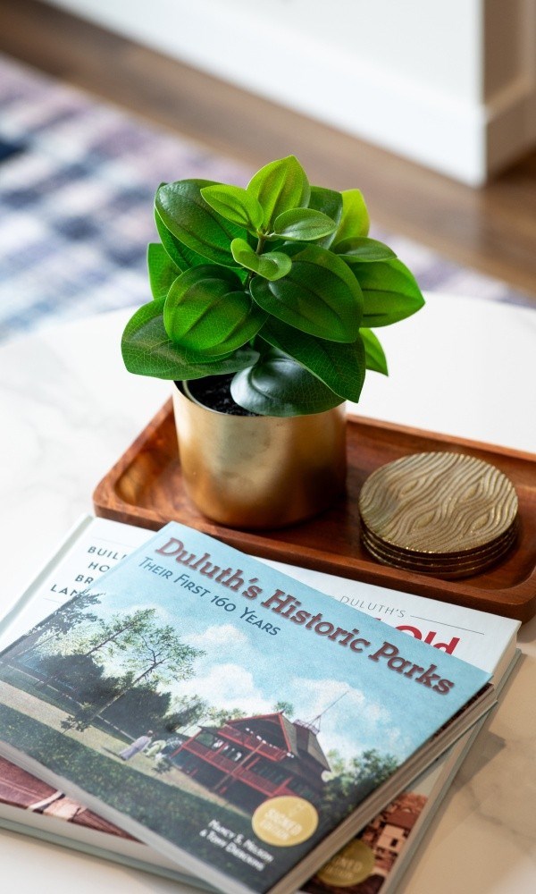 A plant sits on a tray next to a book titled