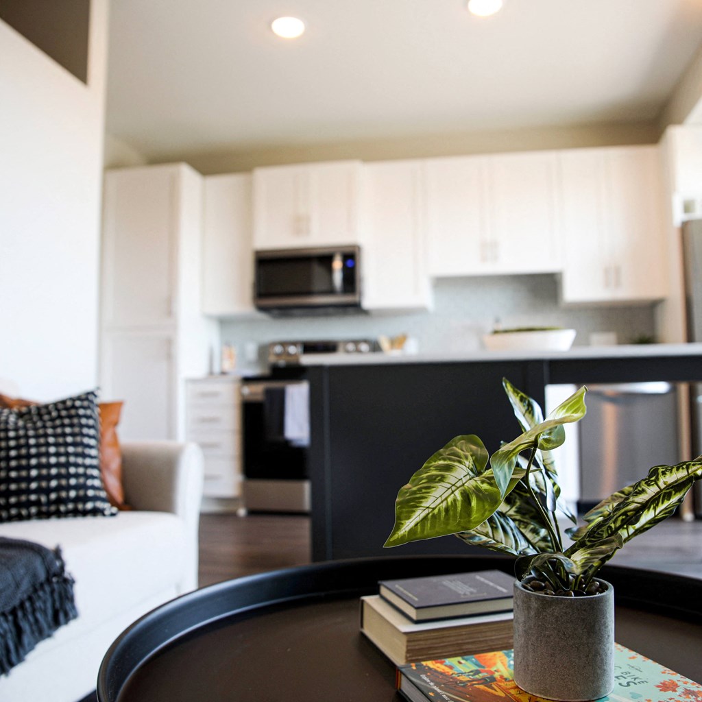 a kitchen and living room apartment